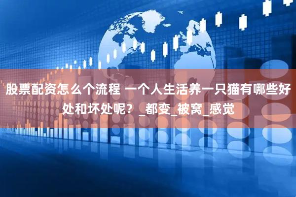 股票配资怎么个流程 一个人生活养一只猫有哪些好处和坏处呢？_都变_被窝_感觉