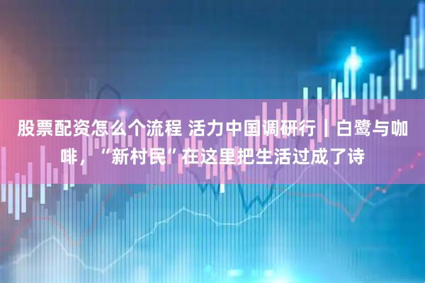 股票配资怎么个流程 活力中国调研行｜白鹭与咖啡，“新村民”在这里把生活过成了诗