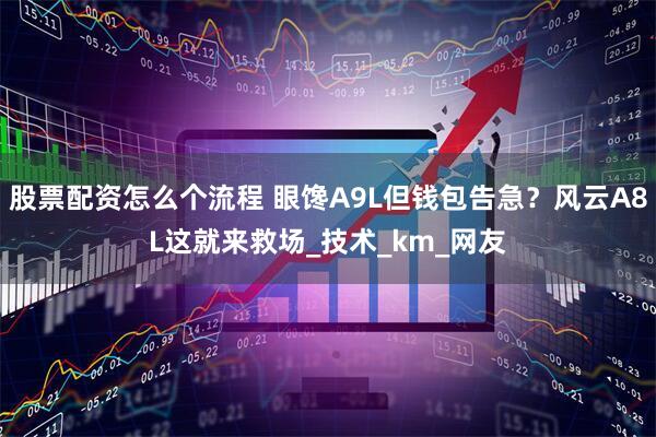 股票配资怎么个流程 眼馋A9L但钱包告急？风云A8L这就来救场_技术_km_网友