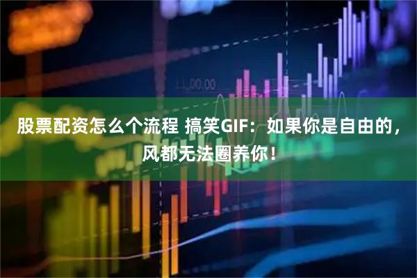 股票配资怎么个流程 搞笑GIF：如果你是自由的，风都无法圈养你！
